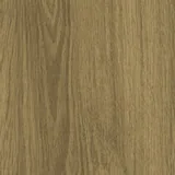 Stejar Amber